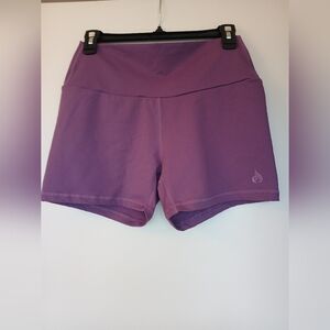 Ryderwear Purple Bike Shorts Size Large